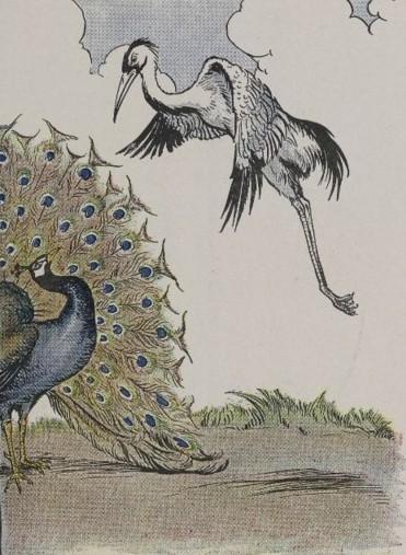 "The Peacock and the Crane," illustrated by Milo Winter, from “The Aesop for Children,” 1919. (PD-US)