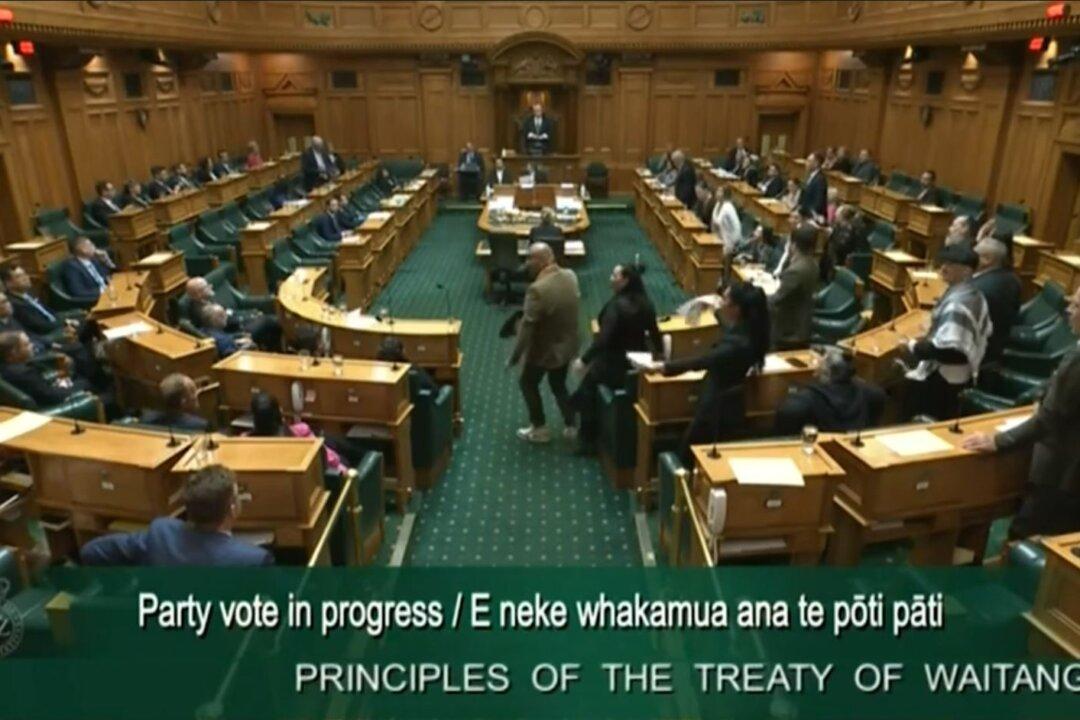 Māori MPs Suspended From Parliament After Performing Viral Haka Protest