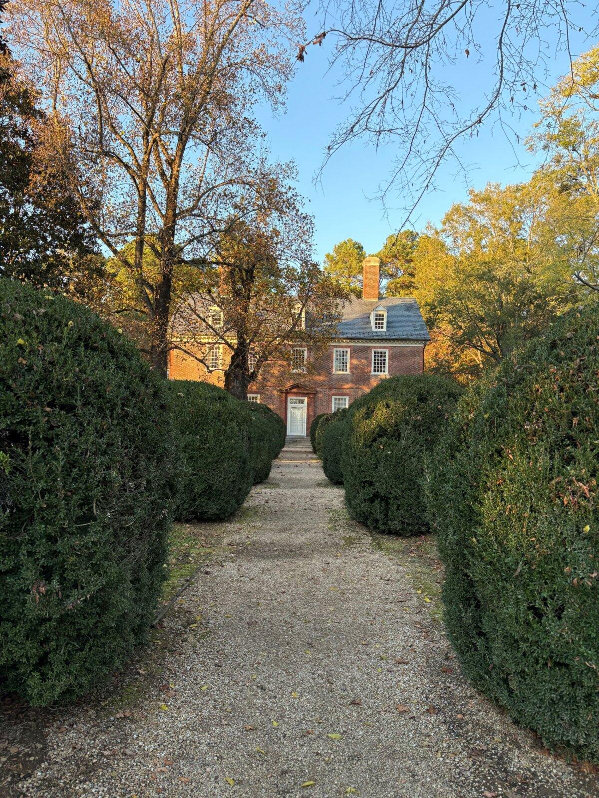 The pathway leading to the Harrison plantation. (Deena Bouknight)