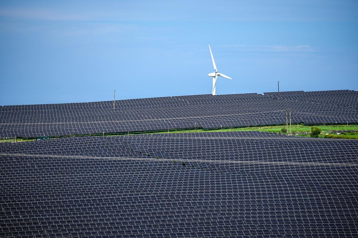 Forced to Fight for Our Livelihoods: Queensland Farmers Protest Solar Farm at Inquiry