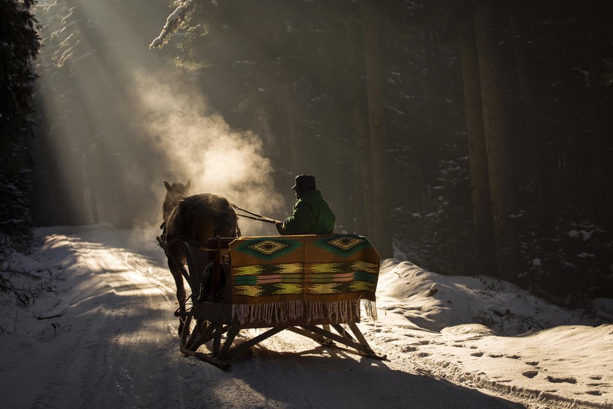 Real Poetry Part 2: The Antidote to the Ersatz and Confused