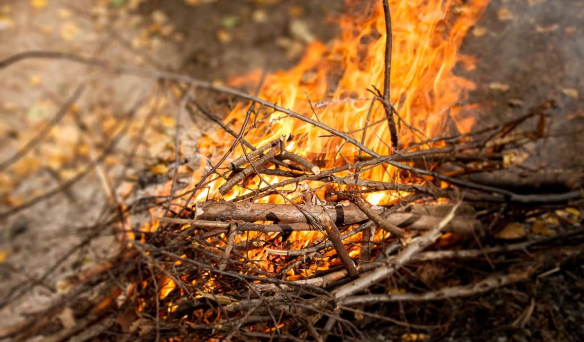 How to Cut $2 Trillion of Fat From the Federal Budget