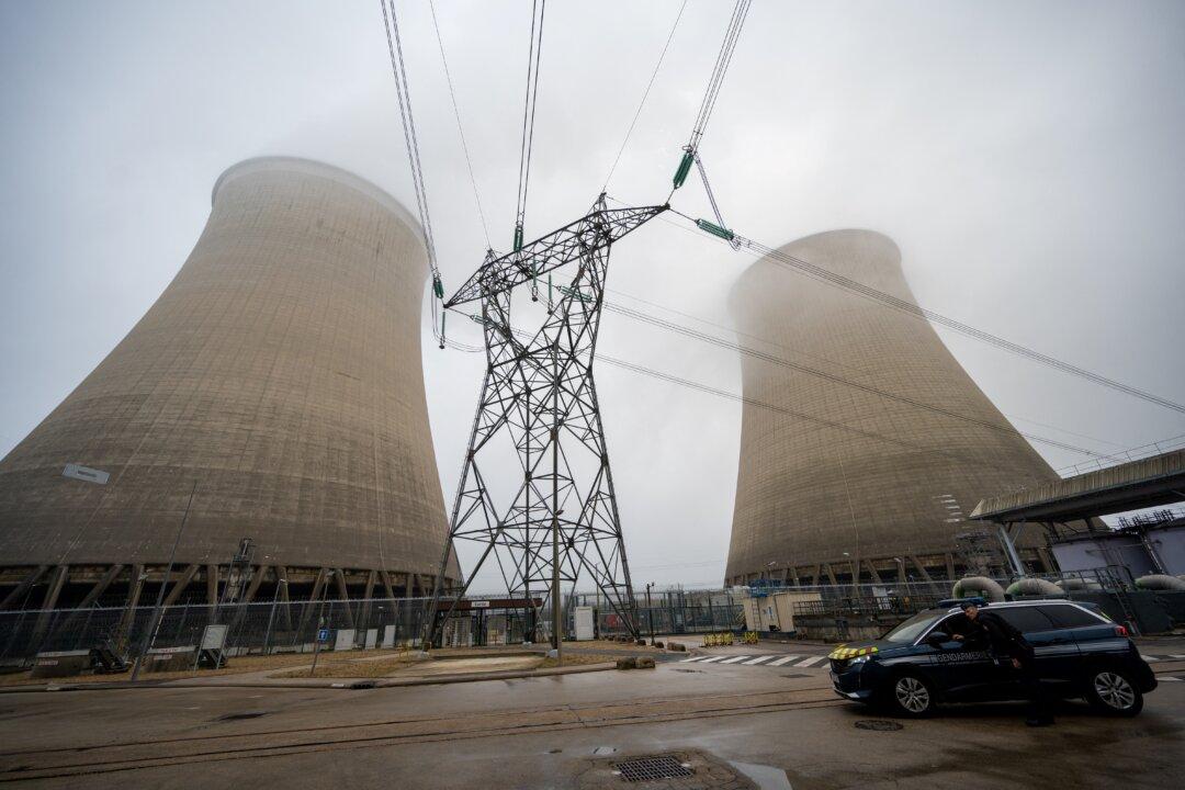 Nuclear Cost Blowouts Caused 25 Percent Energy Price Hike in Georgia: Energy Consultant