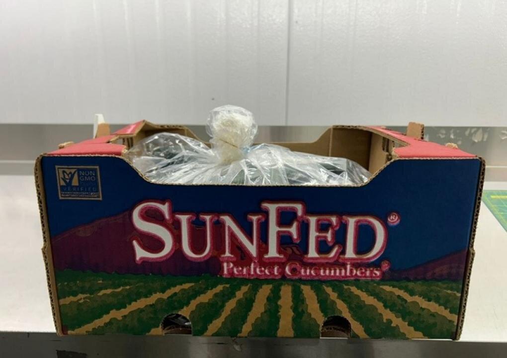 Salmonella Risk Leads to Cucumber Recall in Canada and US