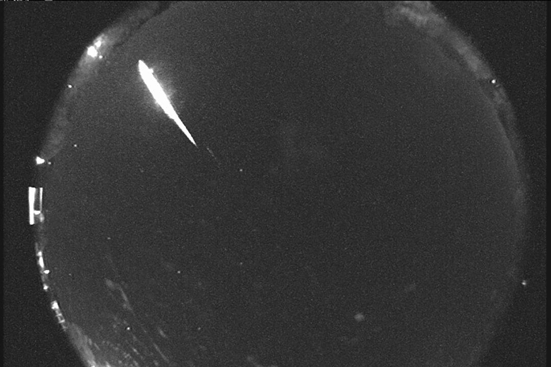 Taurid Meteor Showers Peak a Week Apart in November
