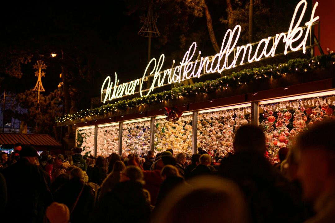 Lighting of Vienna Town Hall Christmas Tree Marks Start of Yuletide Season in Austrian Capital