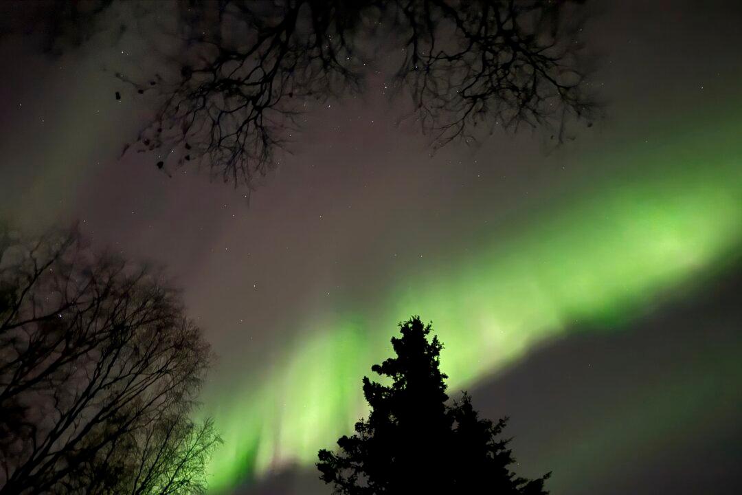 Northern Lights May Be Faintly Visible Across Parts of the US This Thanksgiving