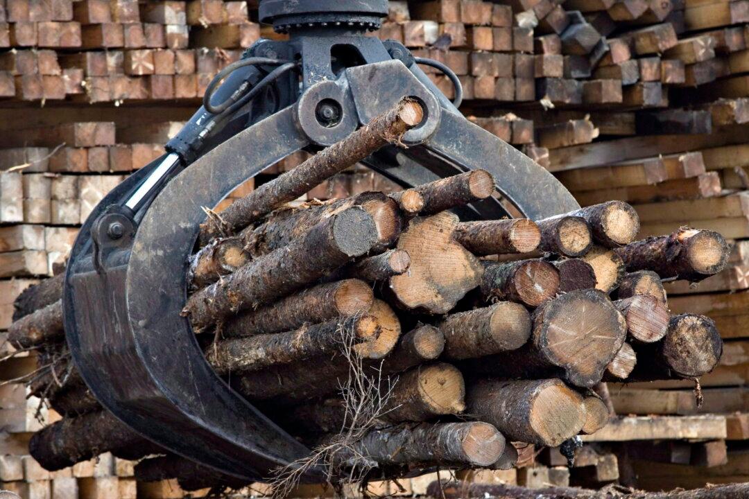 Quebec Forest Industry Already Under Pressure Amid Trump Tariff Threat: Legault