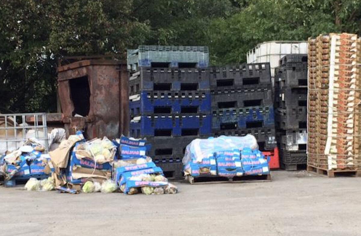 Undated handout photo of rotting vegetables that a gang used to help smuggle drugs into the UK. (National Crime Agency/PA)