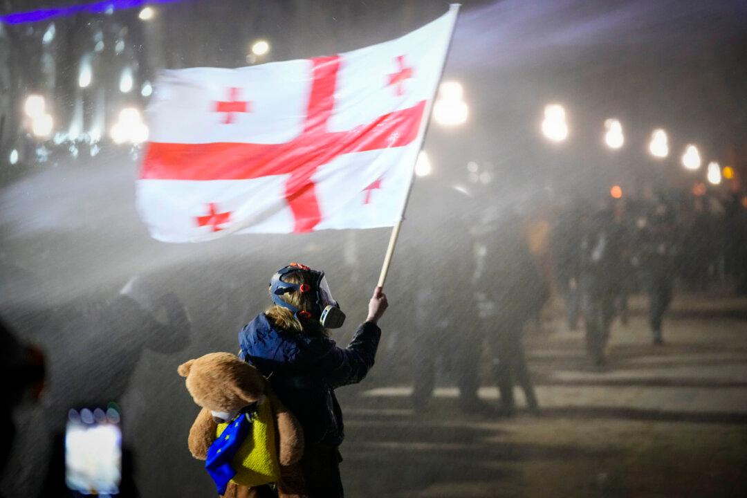 Georgian Opposition Party Leader Arrested as Protests Enter 2nd Week