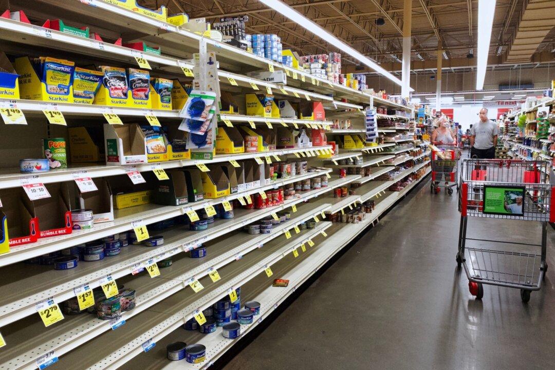 Is Inflation in 2024 Fueled by Supply or Demand?