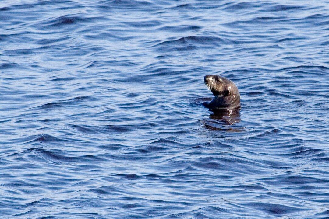 Six Rhyming Riddles to Tease Your Brain