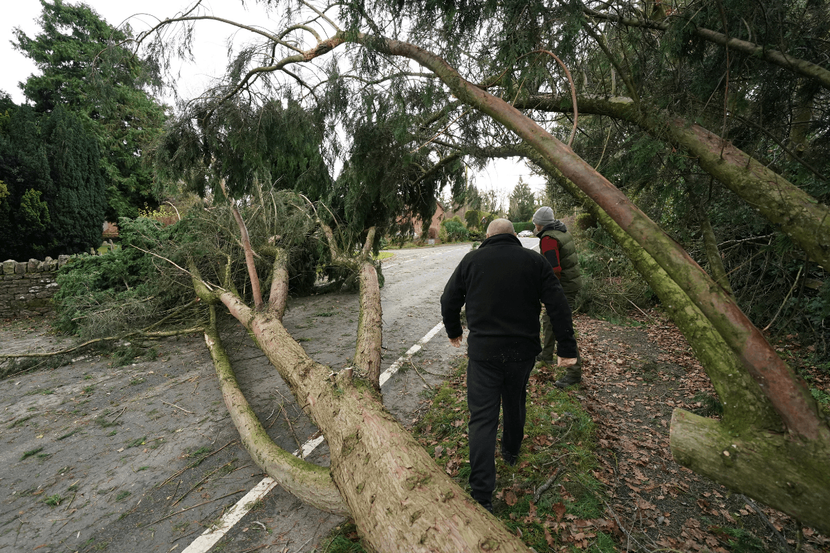 Thousands Without Power and Train Lines Closed as Impact of Storm Darragh Lingers