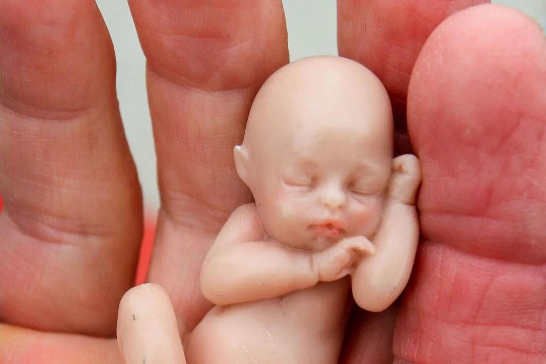 Queensland Government Moves Motion Shutting Down Debate on Abortion