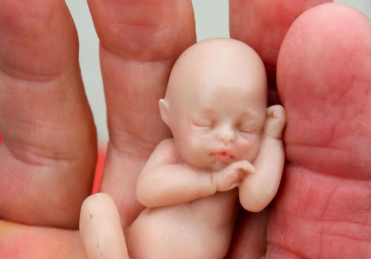 Queensland Government Moves Motion Shutting Down Debate on Abortion