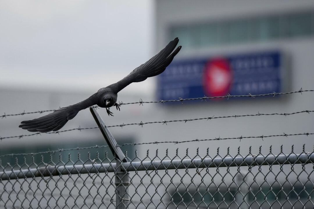 Postal Strike Delaying Delivery of Medicine, Necessities to Remote Areas: AFN Chief