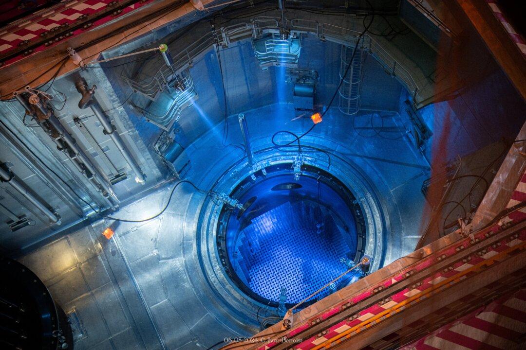 Google, Meta, Amazon Sign Pledge Backing Tripling of Nuclear Power by 2050