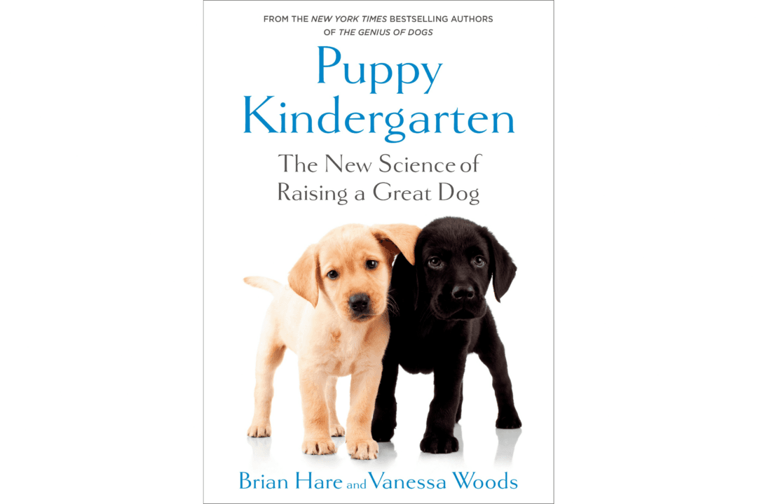 ‘Puppy Kindergarten: The New Science of Raising a Great Dog’