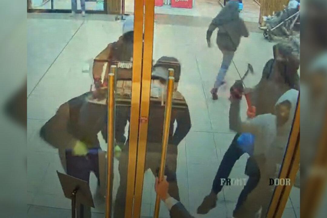 6 Masked Males Snatch ‘Large Quantity’ of Jewelry in Toronto Mall Smash and Grab