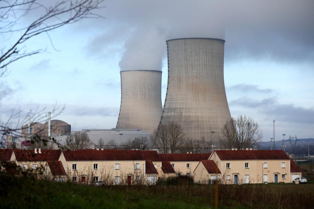Children Living Near Nuclear Plants Face Double the Risk of Leukemia: Doctors