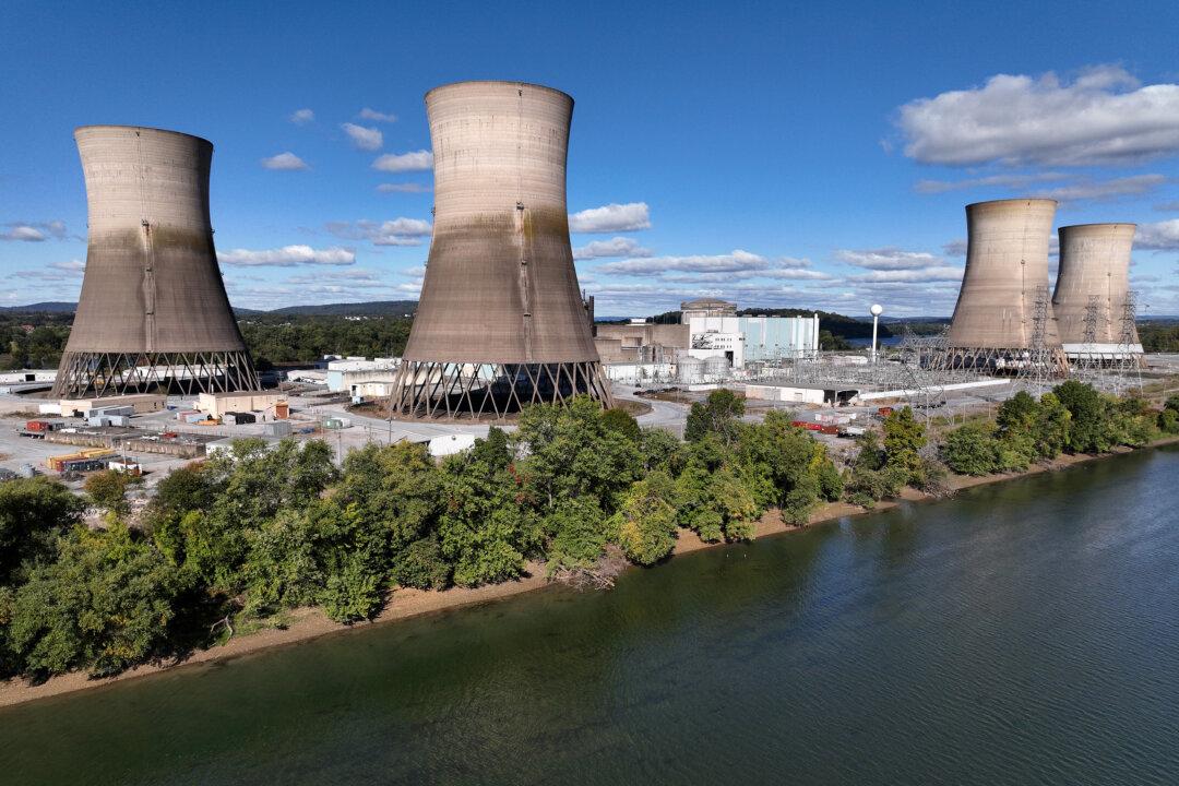 ‘Not Commercially Viable’: Energy Investors Reject Nuclear Investment in Australia