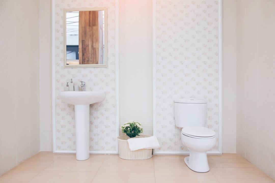 Replace Old Toilet With Stylish One
