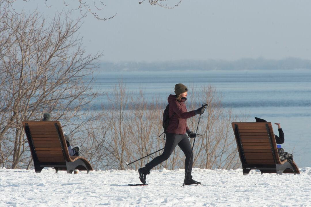 Tugboats, Crews Try to Refloat Ship Stuck in St. Lawrence River Near Montreal