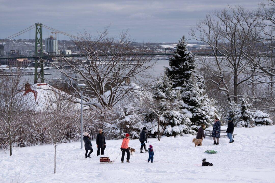 My Wish List for a Safe and Secure Canada in 2025