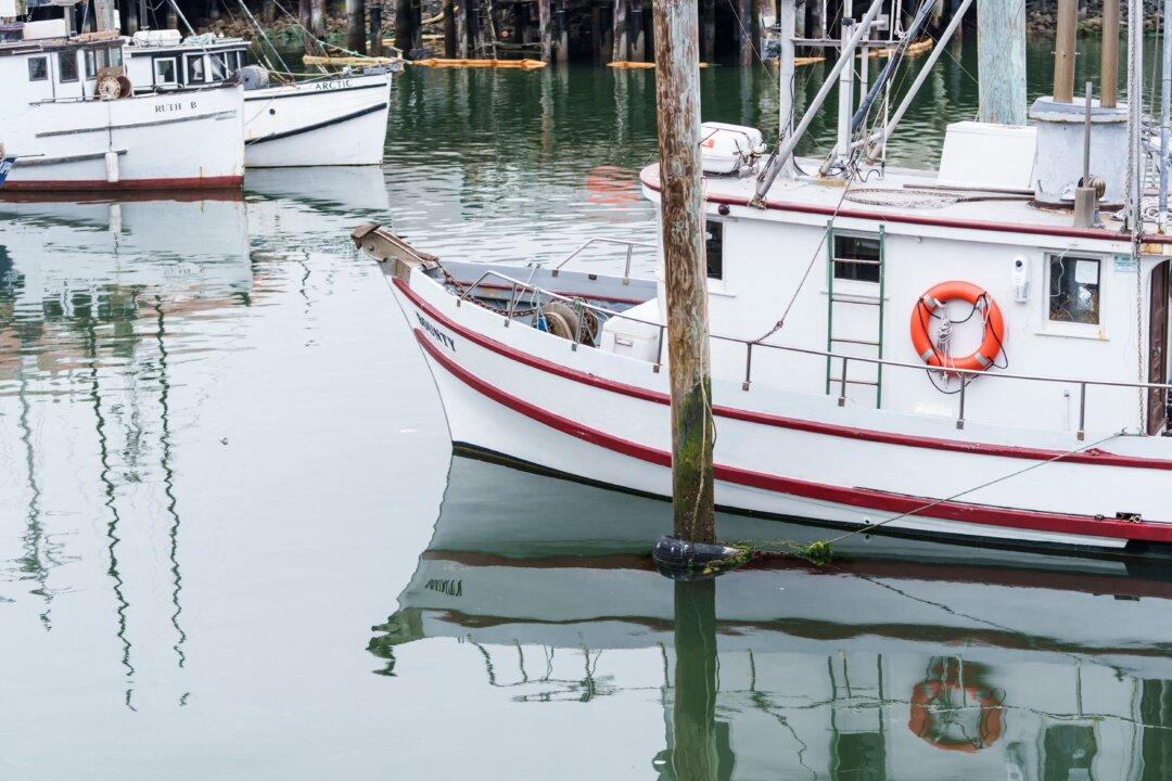 California to Keep Commercial Salmon Fishing Closed for 3rd Year