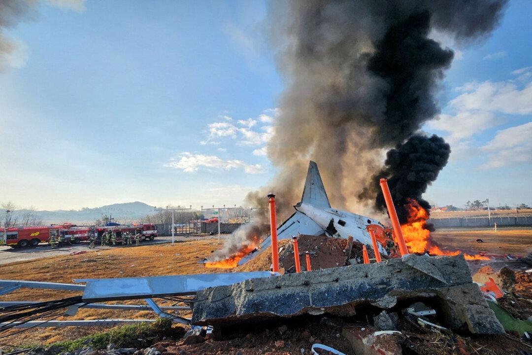 Officials Say Bird Strike Warning Sent Out Minutes Before South Korean Plane Crash
