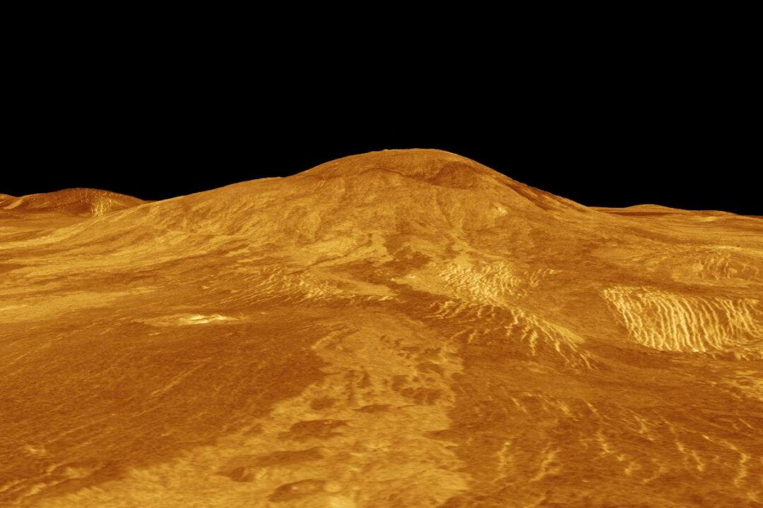 Did Venus Ever Have Oceans? Scientists Have Answer
