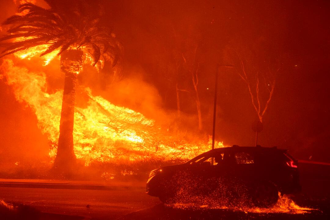 Cher, Dick Van Dyke, Gary Busey Among Thousands Forced to Evacuate Homes Amid Malibu Wildfire