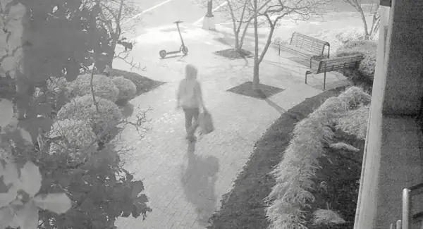 LIVE NOW: House Judiciary Subcommittee Holds Hearing on DNC, RNC Pipe Bombs Probe