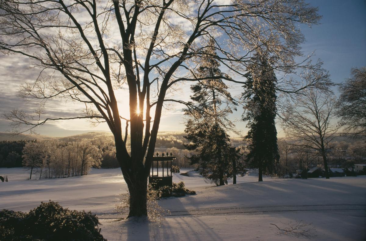 The Case for Enduring Winter