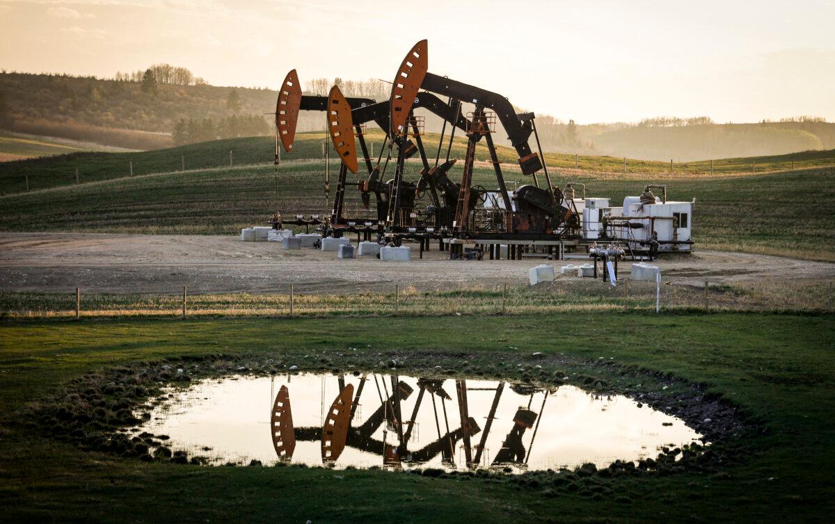 Pumpjacks near Calgary in a file photo. (The Canadian Press/Jeff McIntosh)