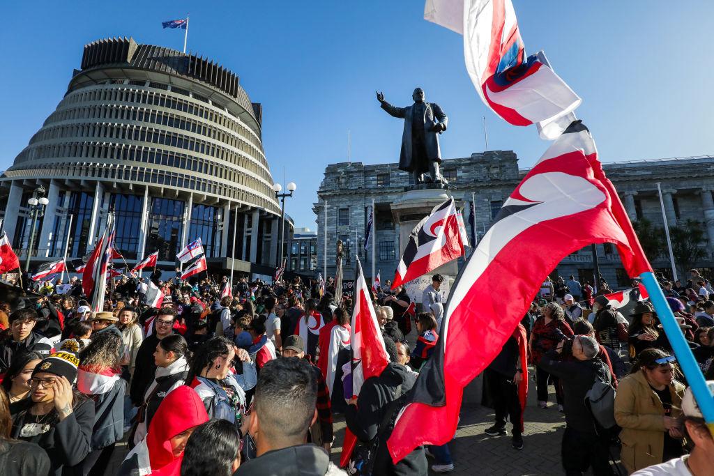 Over 300,000 Submissions for Contentious Race Bill Causes NZ Parliament Website to Crash