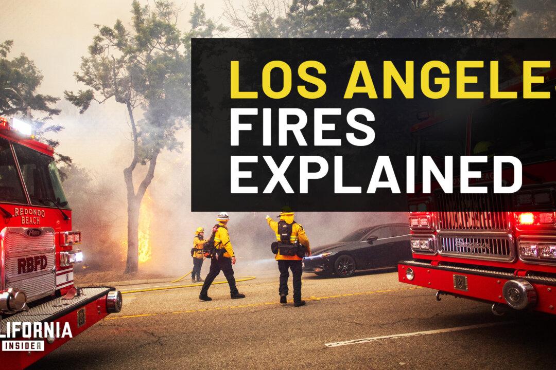Fire Chief Explains What’s Going On with Los Angeles Fires | Sam DiGiovanna