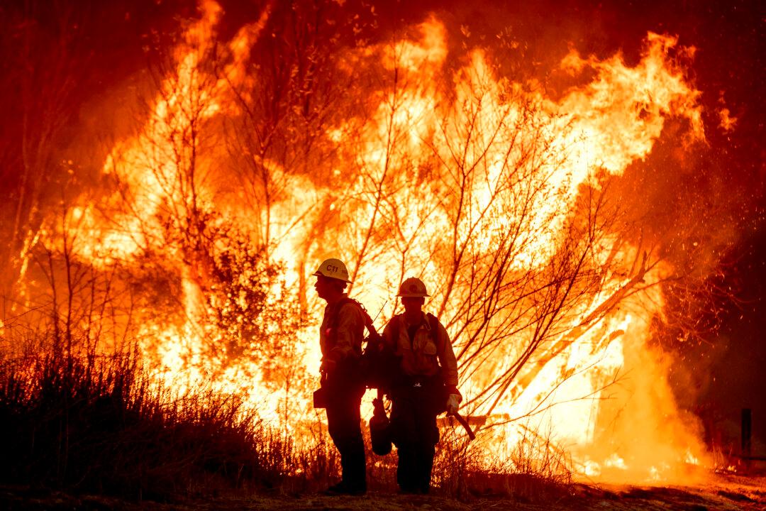 BC Wildlife Sends Team to Help Combat LA Fires: Premier Eby