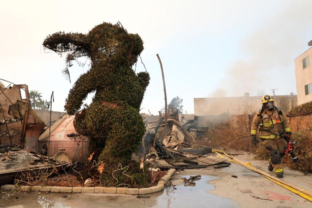 Los Angeles Landmarks From Film and TV Damaged by Wildfires