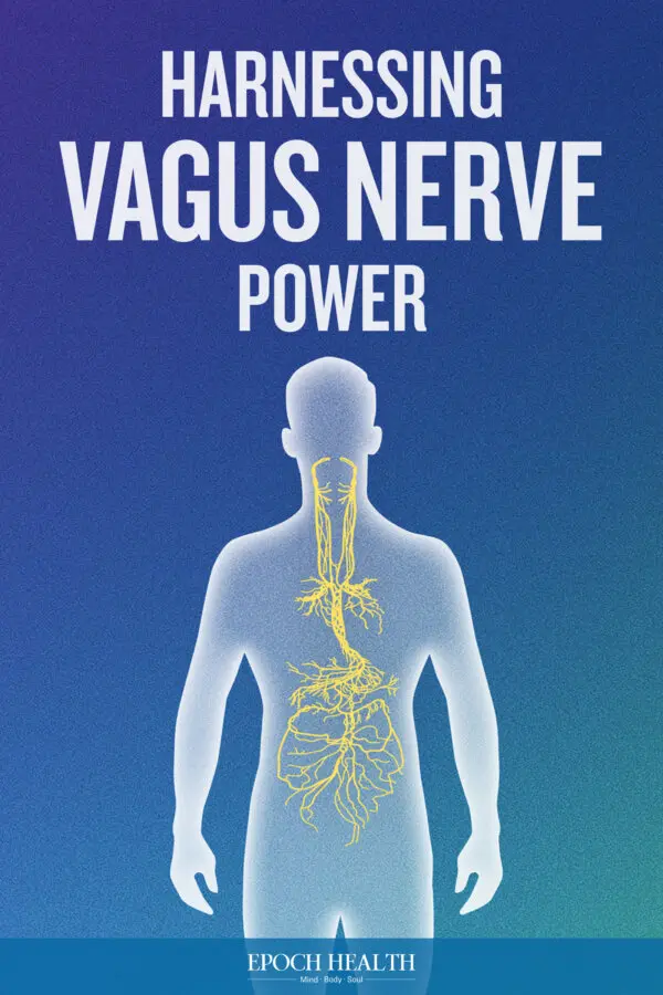 Harnessing Vagus Nerve Power