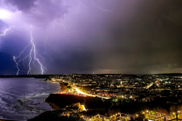 Minister Orders Culture Reset at BOM After Website Blowout Soars to $96 Million