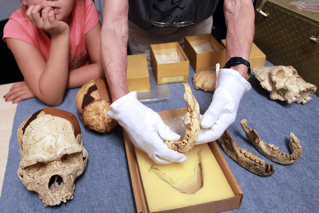 New Research Reveals Our Ancestors Were Tougher Than We Ever Knew