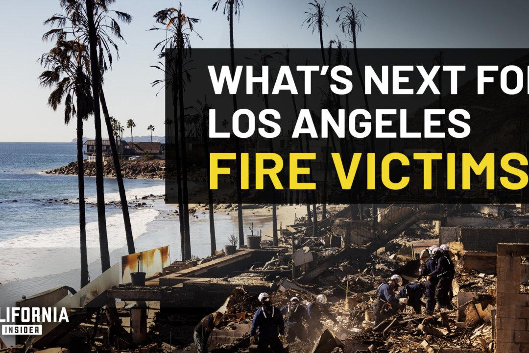 LA Representatives Explain Little-Known Steps for Cleanup and Recovery | Ben Allen | Jacqui Irwin | Sasha Renée Pérez