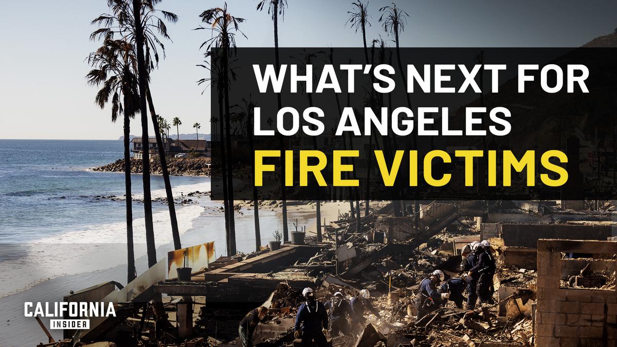 LA Representatives Explain Little-Known Steps for Cleanup and Recovery | Ben Allen | Jacqui Irwin | Sasha Renée Pérez