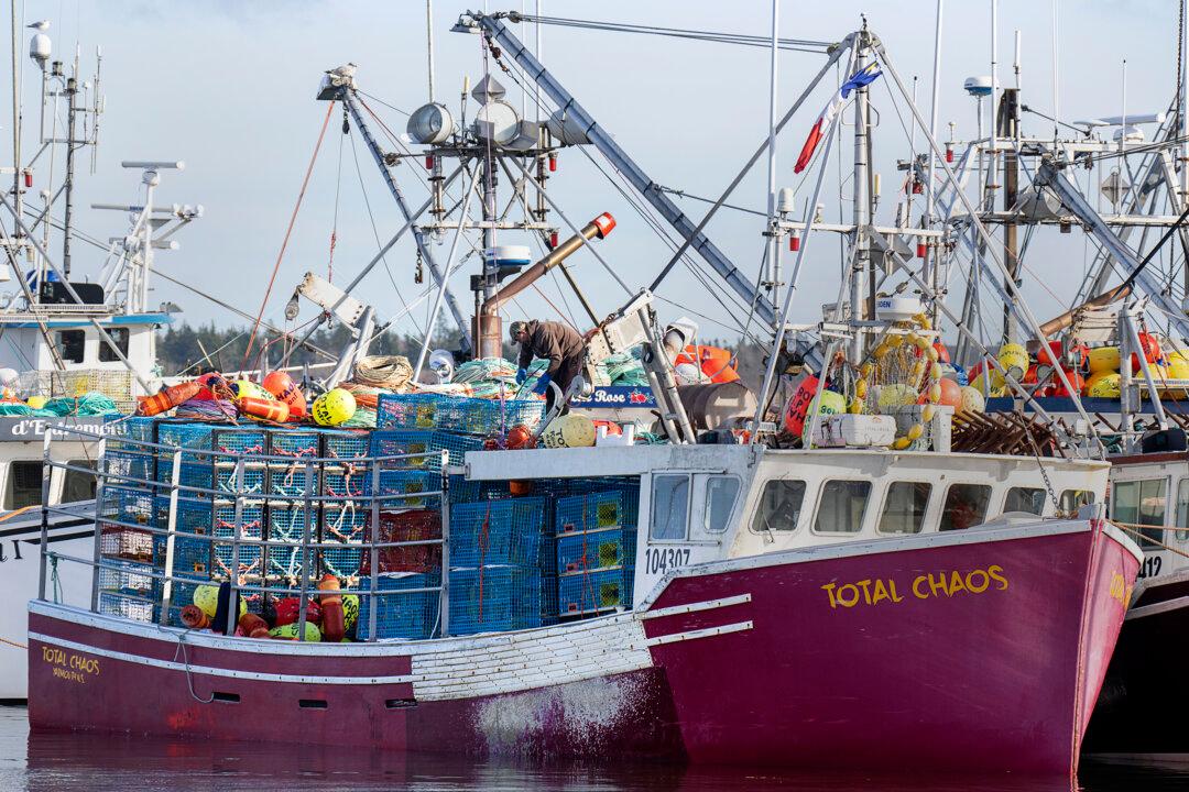 As Trump Takes Power, Atlantic Canadian Seafood Firms Look to Diversify Export Market