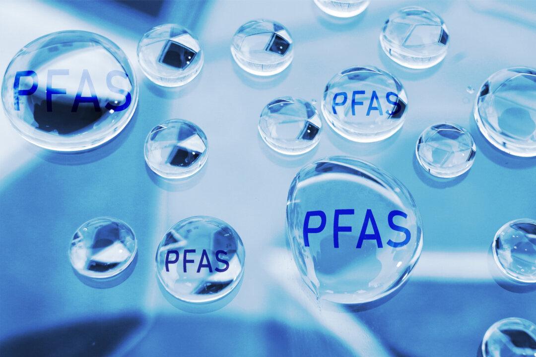 Study Finds ‘Forever Chemicals’ in Human Brain Tissue for the First Time