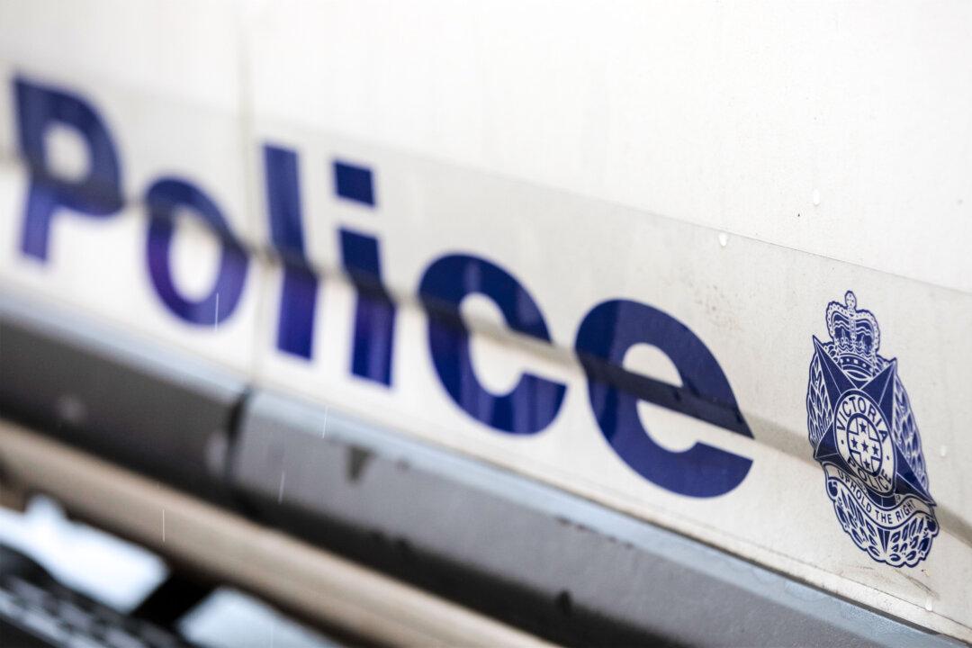 Business Owners told to ‘Learn Martial Arts’ Amid Violent Crime Wave