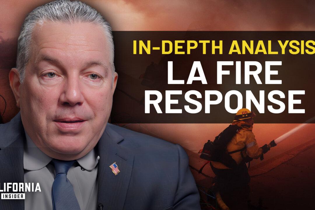 Former LA Sheriff Provides Detailed Analysis on LA Fire Response | Alex Villanueva