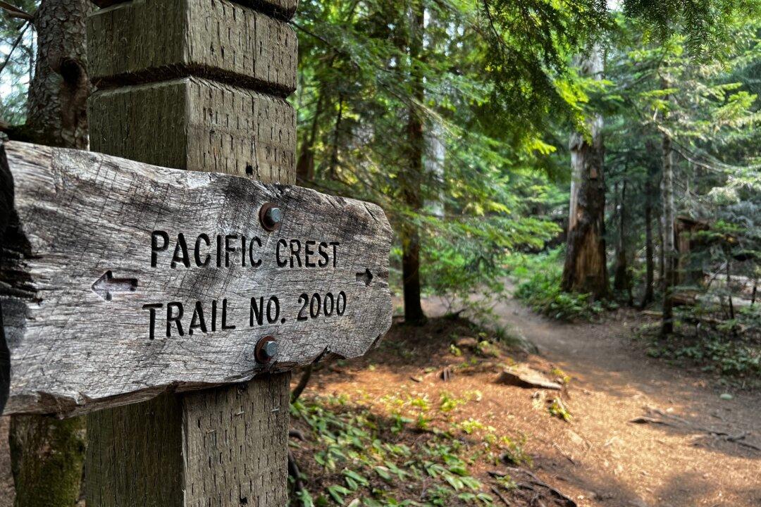 Canada Stops Letting Cross-Border Hikers Enter BC via Pacific Crest Trail