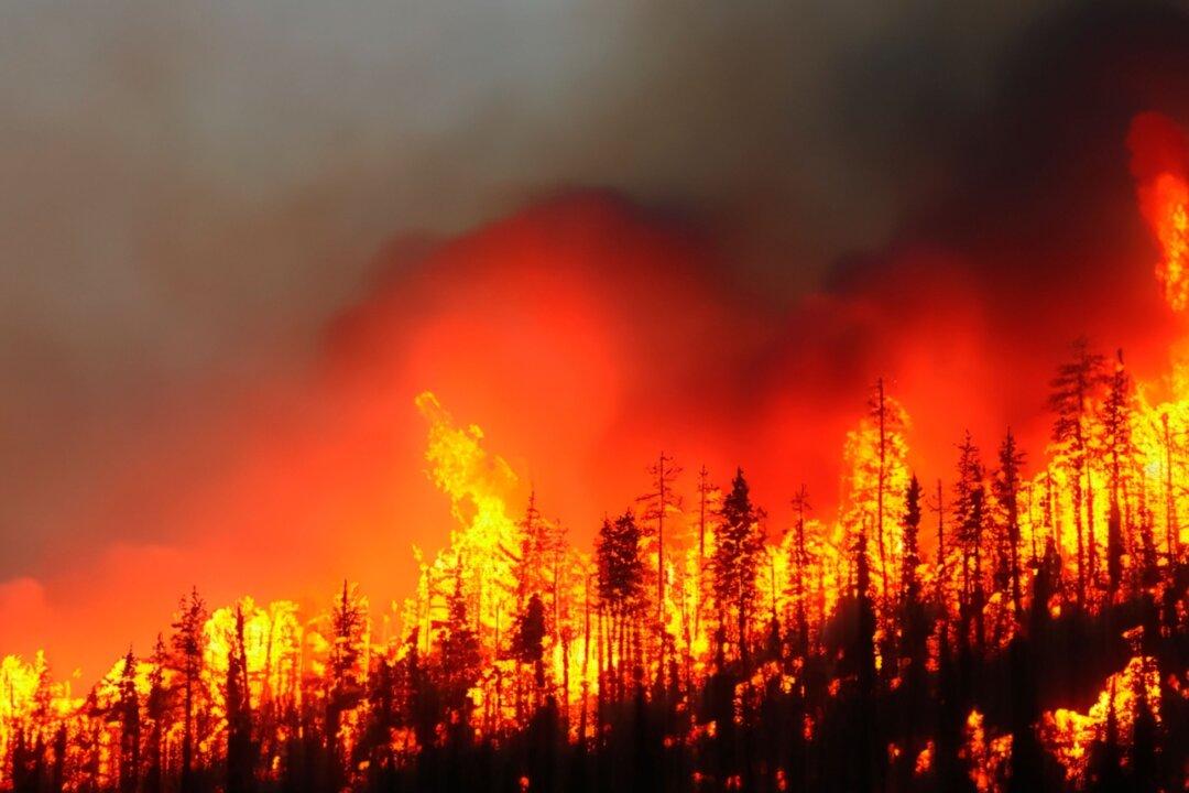 How Bureaucracy Fueled the Los Angeles Wildfires